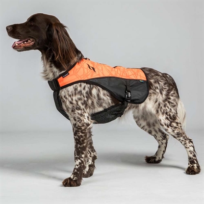 Back on Track Trakk Signalväst med skydd